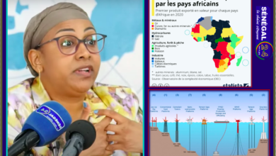 Rapport de la CNUCED sur le développement économique en Afrique