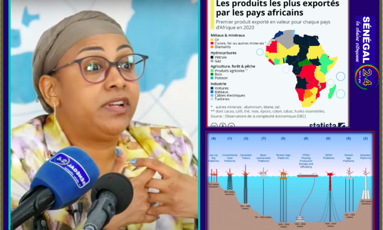 Rapport de la CNUCED sur le développement économique en Afrique