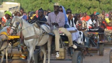 Charretier Touba